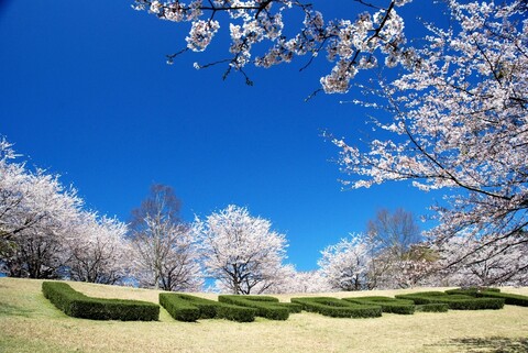 호텔 라포레 슈젠지