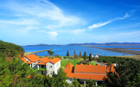 태안 민어도펜션