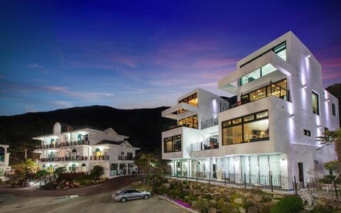 Palm Tree (B Family) Pension