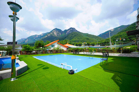 포천 호수와소나무