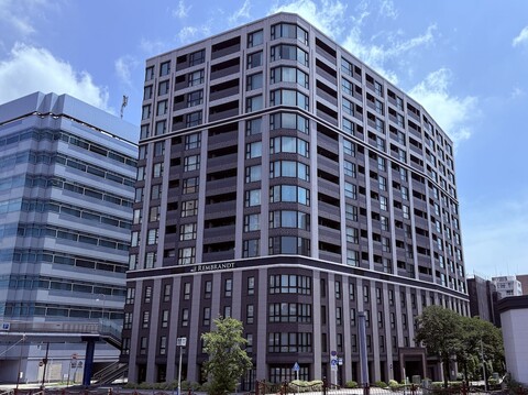 렘브란트 스타일 요코하마 사쿠라기초