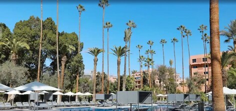 켄지 로즈 가든