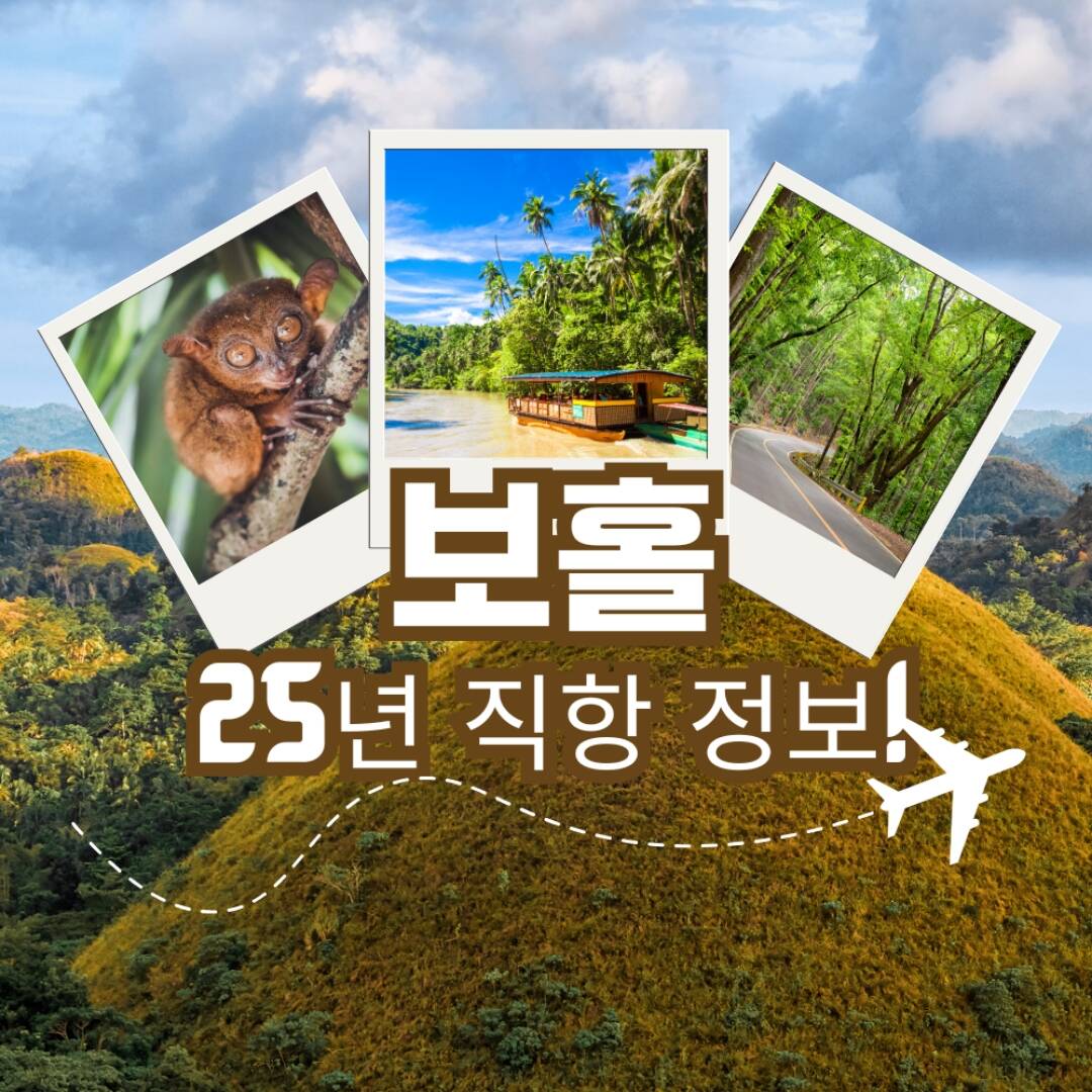 보홀-자유톡0