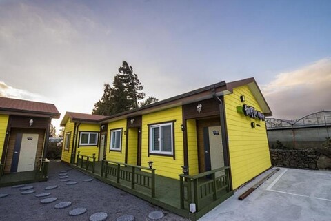 Rape Flower Road Pension