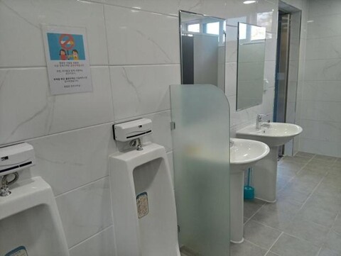 Jidong Pine Tree Forest Camping Site