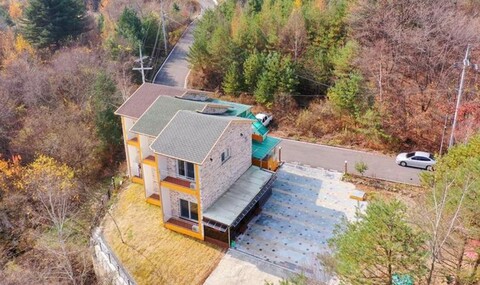 pine tree house