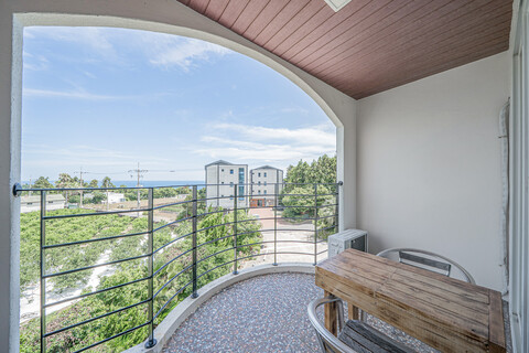 서귀포 오늘은서귀포