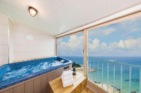 Seagull Flying Dream Pension