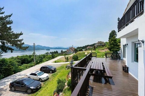 under the cypress tree