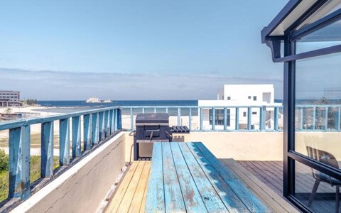 Chrysanthemum Flower Scent Pet Friendly Pension