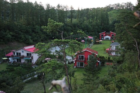 홍천 하이디 펜션