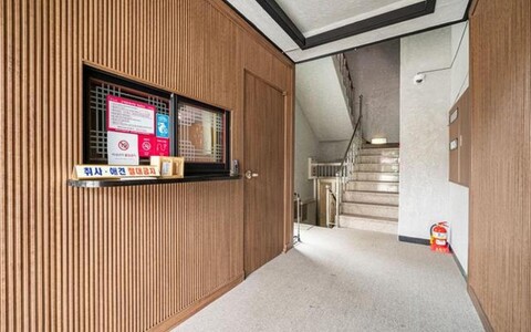 강릉 정동진 라벤더