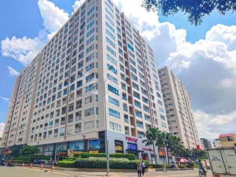 레인보우 스카이 센터 탄손낫 공항