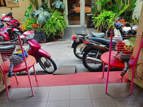 사쿠라 호스텔 사이공