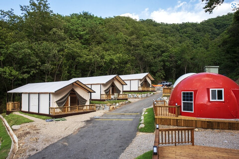 춘천 버즈글램핑&펜션