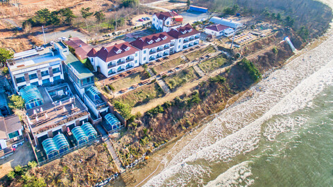 태안 자작나무리조트