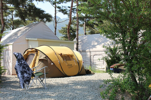 포천 파인트리오토캠핑장