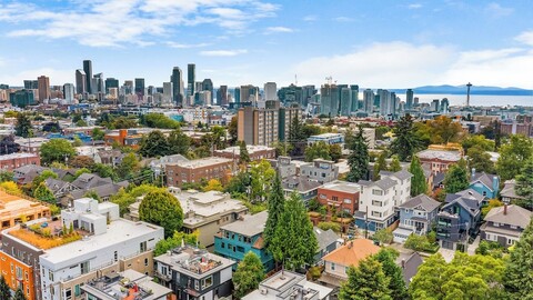 하이가든 더 타이렐 하우스 스위트 스위트