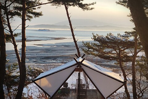 태안 해림원 솔스케이프