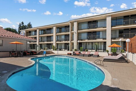 배거본드 인 이그저큐티브 올드타운