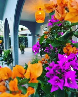 The blue Homestay near Miami Airport