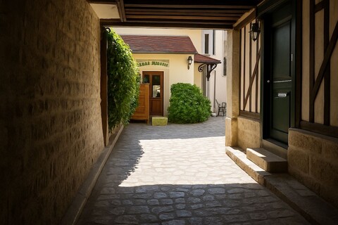 레지던스 클로로필