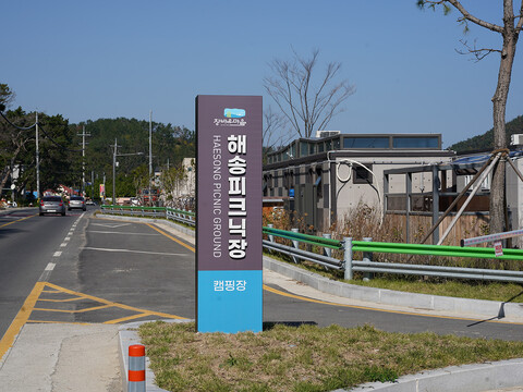 포항 창바우마을 해송피크닉장