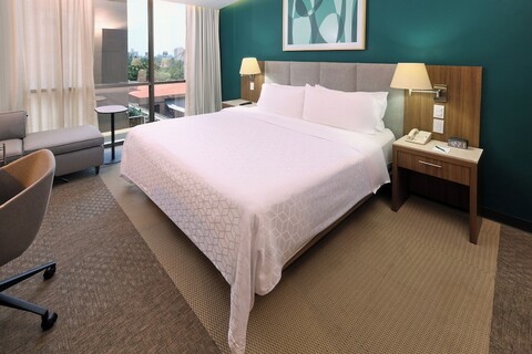 홀리데이 인 호텔 & 스위트 메디카 수르 바이 IHG