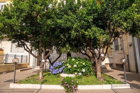 디모라 산타크로체