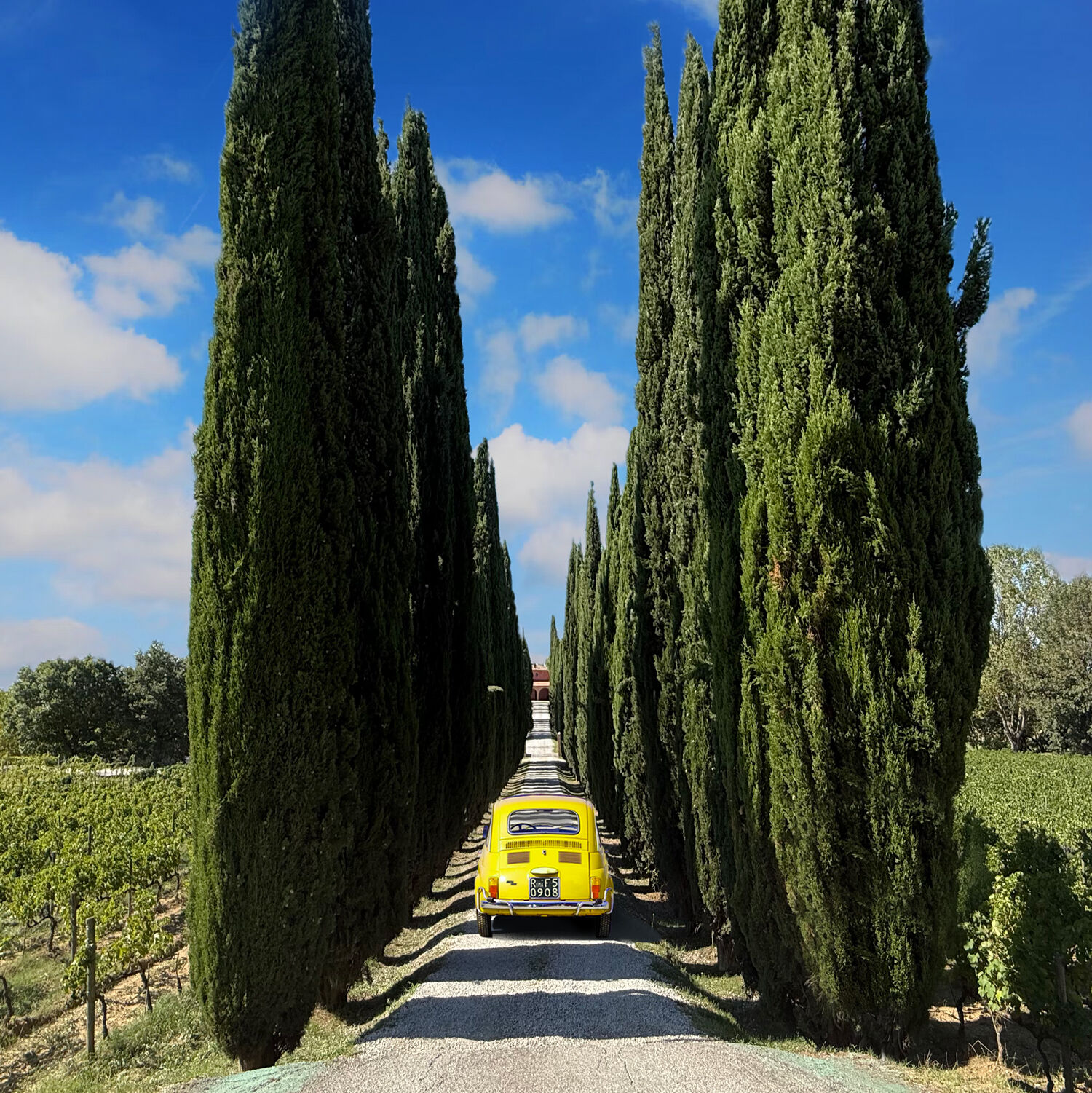 여행 상품 이미지