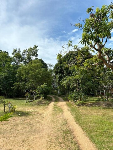 Johmthong Bungalow