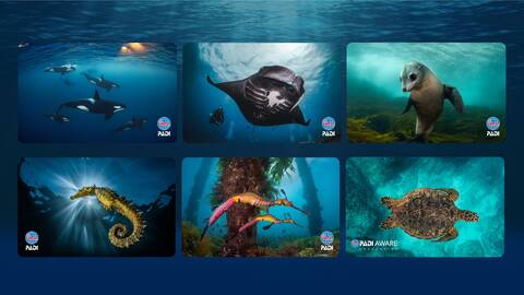 product-thumbnail-4