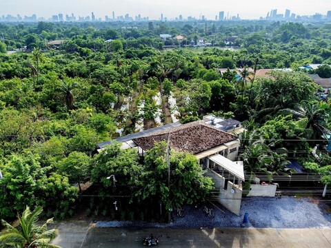 코코넛 레인 방콕