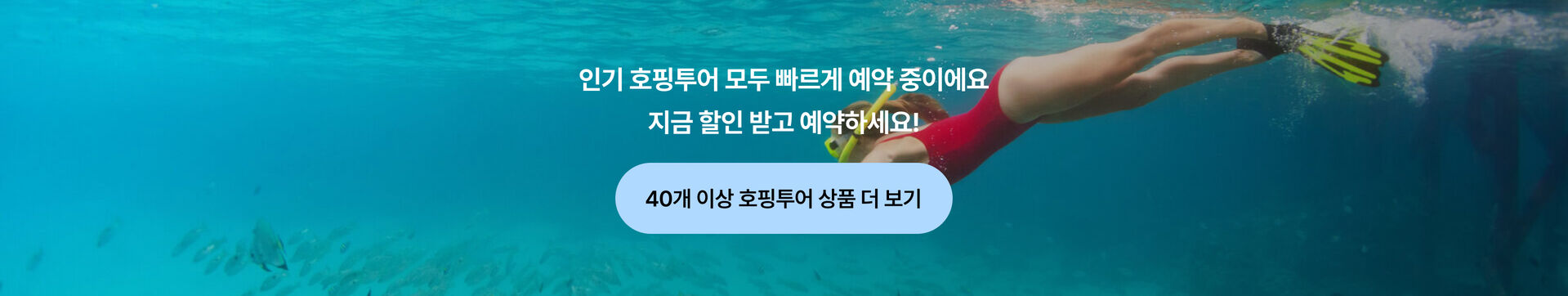 호핑투어 하단.png
