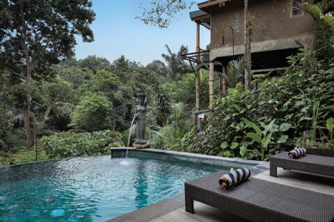 알라모라 힐링 이스케이프