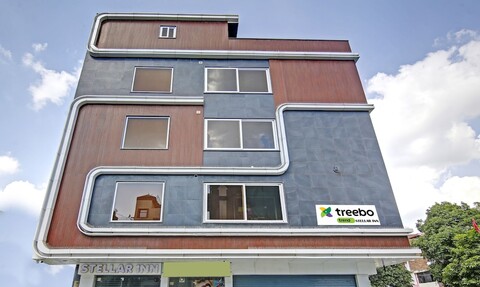 트리보 스텔라 인