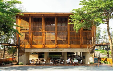 하베스트 데이 호이안