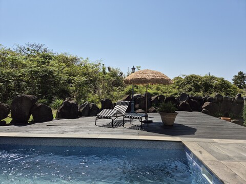 제주 그레이박스