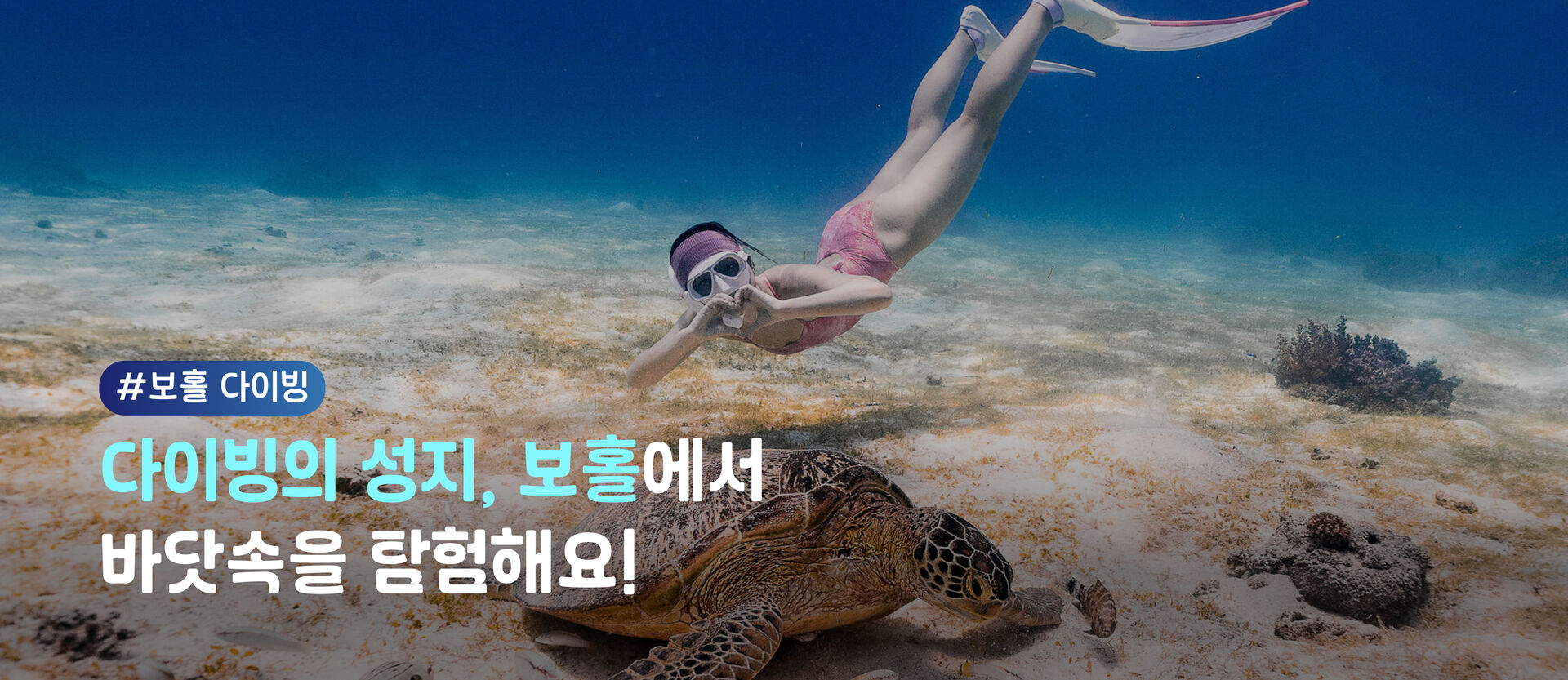 보홀 다이빙_PC_01.png