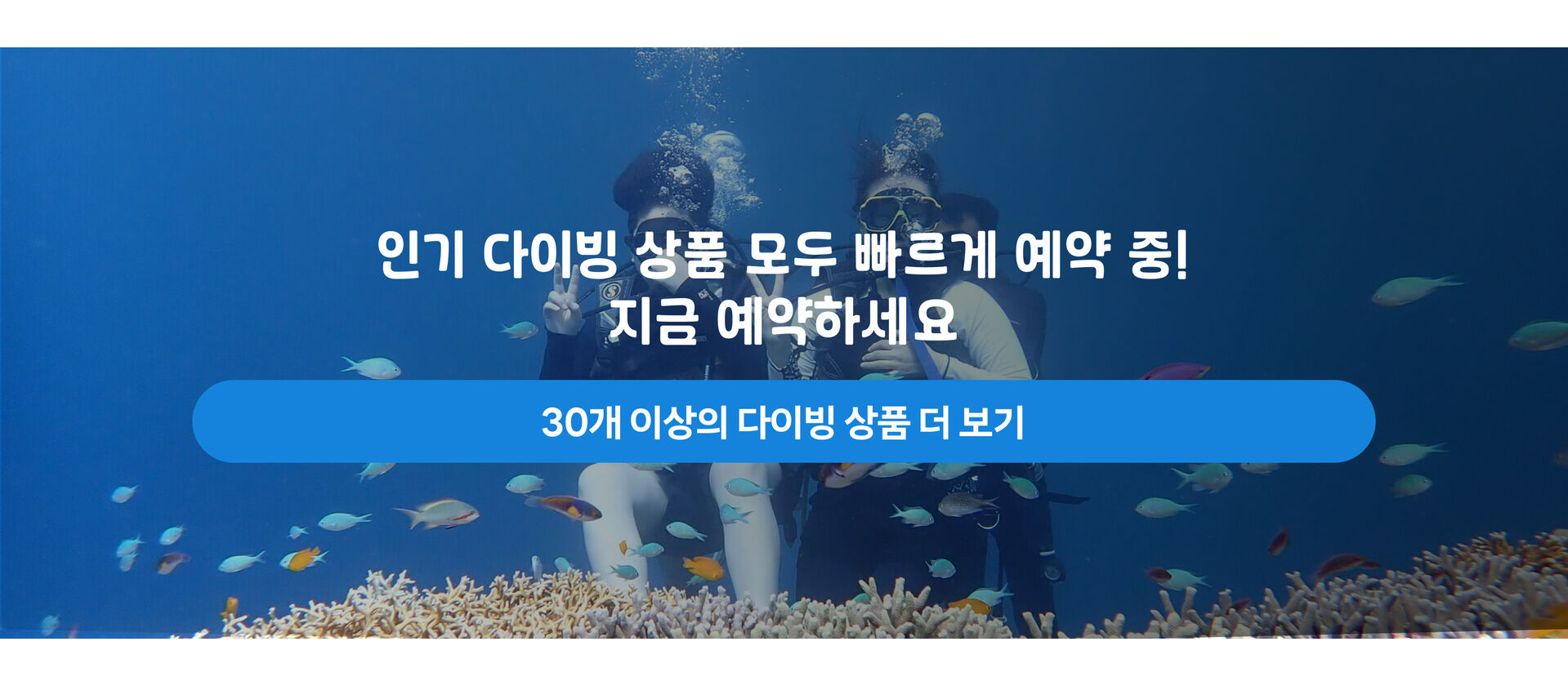 다이빙 하단.png