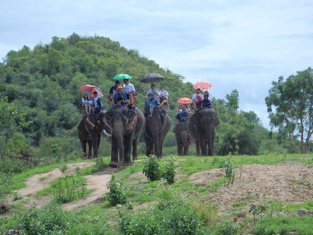 [🐘자연 속 코끼리와 함께🐘]엘리펀트 빌리지 후아힌