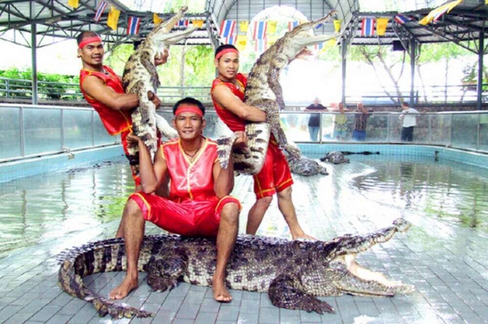 여행 상품 이미지