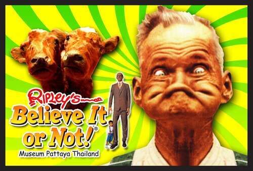 여행 상품 이미지