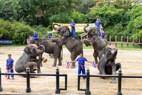 여행 상품 이미지
