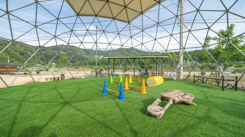 인제 다라니애견동반펜션