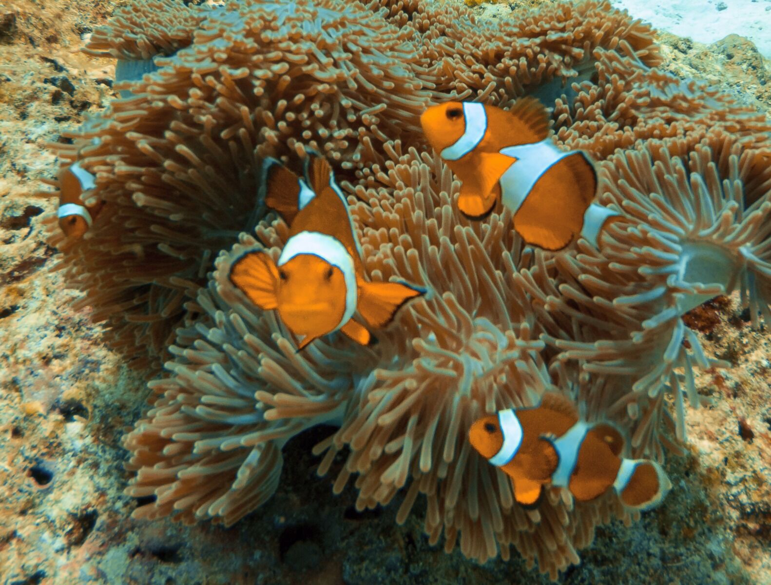 여행 상품 이미지