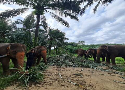 product-thumbnail-4