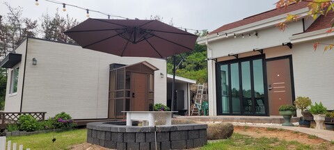 하동 레몬향데이지