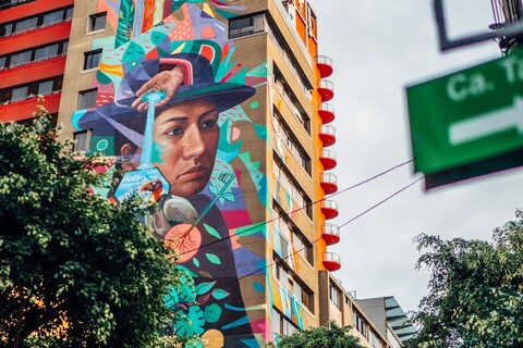 나이아 미라플로레스