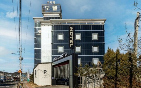 김포 통진 코자자